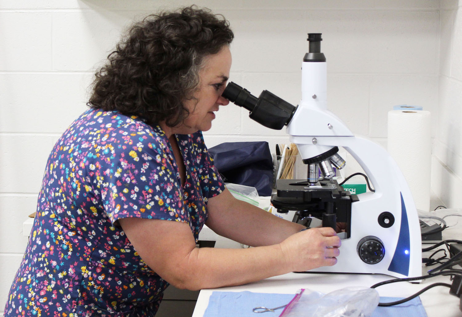 Amy McDaniel looks into a microscope