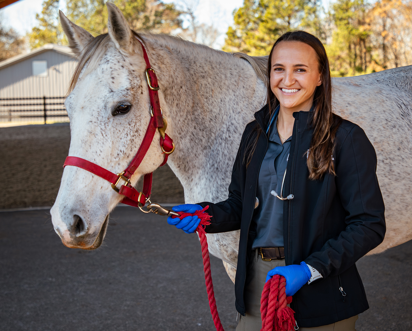 Meg Lemons (DVM, 2024) wins prestigious equine scholarship