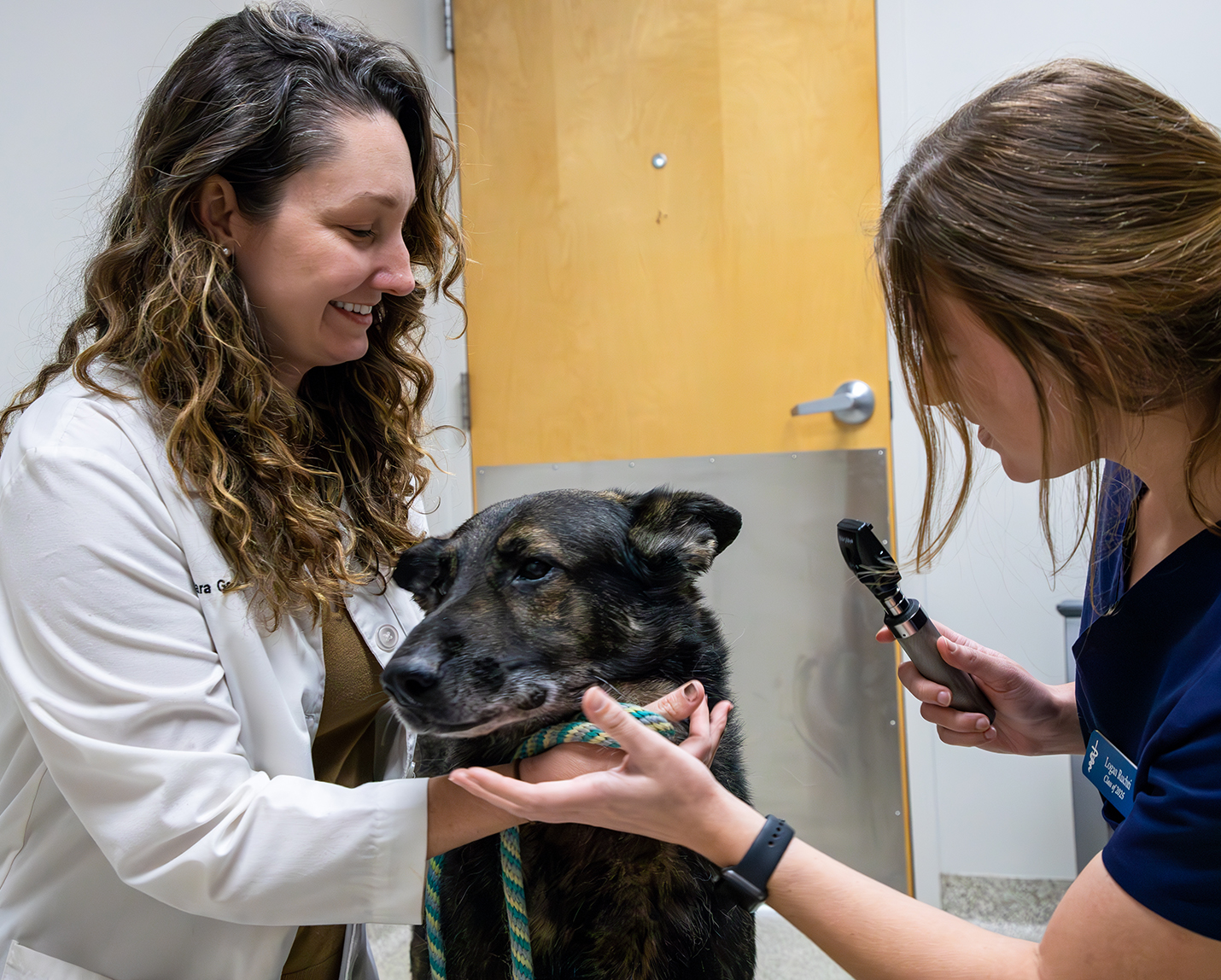 Pet Health Center expansion will be public face of curriculum shift that incorporates new philosophy of care